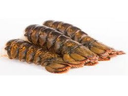 FROZEN MAINE LOBSTER TAILS