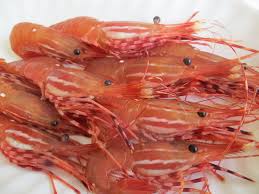 FROZEN SPOT PRAWNS