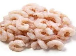 FROZEN BAY SHRIMP COOKED AND PEELED