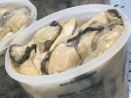 FRESHLY SHUCKED UNCOOKED OYSTERS