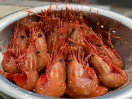 FROZEN SPOT PRAWNS